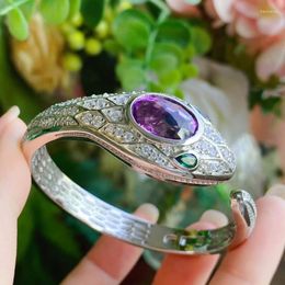 Brazalete Serpentina Pulsera alta Conjunto de amatista Colgante de diamante púrpura Pendientes de anillo abierto Joyería de moda para mujer