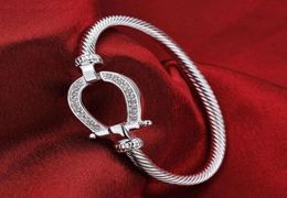 Bangle Verzilverd Gevuld Paard Schoen Waterdruppel Armband Mode-sieraden Steentjes Vrouwen Liefde Valentine039s Dag Cadeau6713278