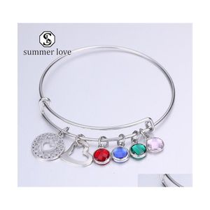 Bangle roestvrijstalen hart uitbreidbare draad Sliver verstelbare colorf kristal bedelarmband voor vrouwen kerst verjaardag cadeau juweel dha07