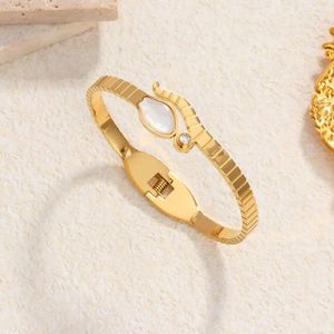 Bangle roestvrij staal witte edelsteen armband voor vrouw mode zirkon charm sieraden verjaardag cadeau direct verkopen