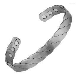Bracelet torsadé titane acier Bracelet hommes santé énergie avantages magnétiques réglable manchette Bracelets Bracelets bijoux