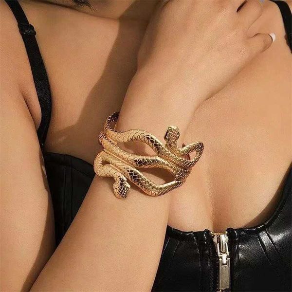 Bracelet Vintage Egypte Tourbillon Serpent Bras Brassard Brassard Grand Large Bracelet Bracelets pour Femme Manchette Indien Anime Hommes Bijoux De Mode 240125