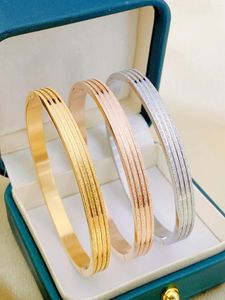 Bangle roestvrijstalen damesarmband met een luxe matte premium touch veelkleurige handsieraden voor verjaardagscadeaus