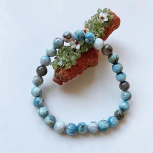 Armbanden 8MM Dominicaanse Larimar Natuursteen Armband Elastisch Koord Pulserase Sieraden Kralen Liefhebbers Vrouw Cadeau Zeeblauw Wit Gem Power