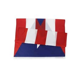 Banner Flags Puerto Rico Bandera colgando PR Puerto Rico Banner para decoración de 90x150 cm de poliéster
