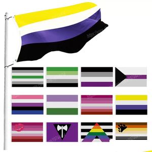 Banner vlaggen Rainbow Pride 90 x 150 cm 3x5ft aangepaste metalen gaten doorvoertules Niet-binaire aromantische lippenstift Lesbische aual kan druppel zijn Dhm8t