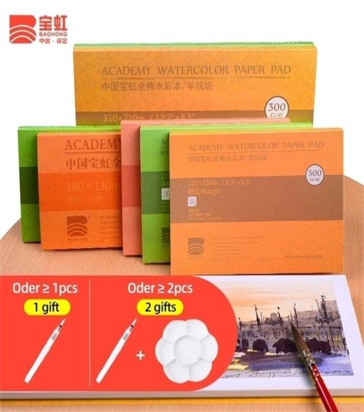 Baohong 300gm2 coton livre d'aquarelle professionnel 20 feuilles papier aquarelle de transfert peint à la main pour fournitures de peinture d'artiste 28226229