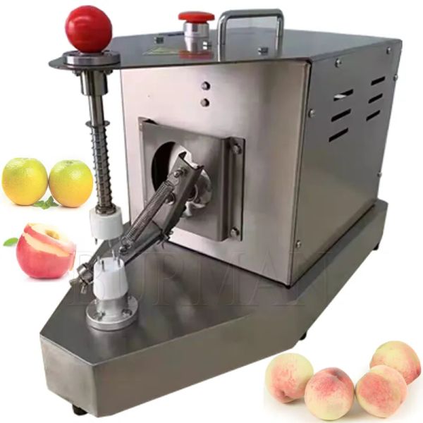 Bar électrique 110V 220V Machine d'épluchieur de fruits en acier inoxydable en acier inoxydable au citron orange pomme