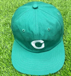 Casquette de Baseball marron vert pour hommes et femmes, capote décontractée brodée à bord plat, casquette d'été respirante
