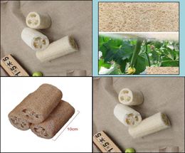 Cepillos de baño esponjas accesorios de baño accesorios para el hogar jardín exfoliado natural esponja de bocadillos perfectos para la piel diariamente babe buff5241066
