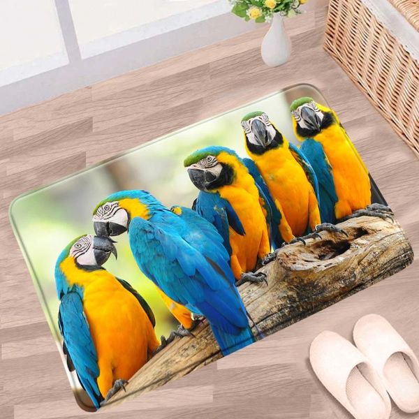 Baignoire tapis animal Parrot Perrot Mat de salle de bain bleu couple jaune couple coloré oiseau non glipt tapis de cuisine décorative de cuisine décorative