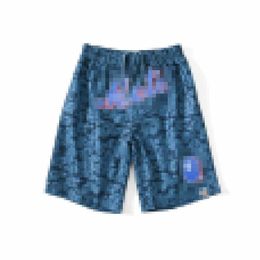 Bathing Ape Shorts pour hommes Summer New Youth Camouflage Mesh Pantalons décontractés respirants Pantalons APE