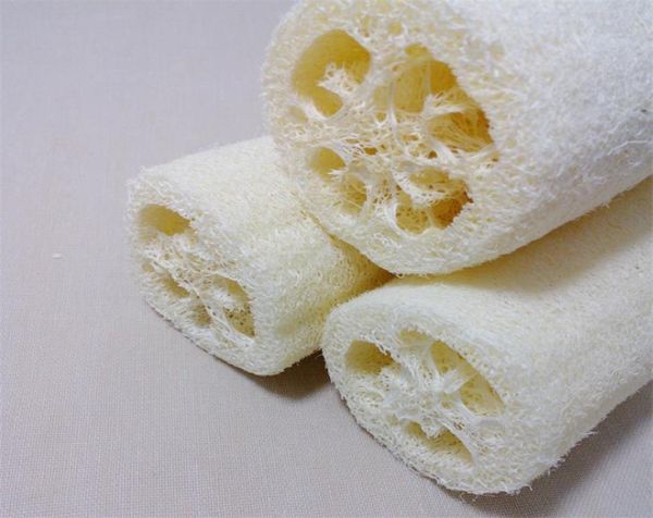 Accesorios de baño Loofah natural Cepillos de baño para el cuerpo Esponja de ducha Cepillo para la espalda Cepillo de limpieza corporal exfoliante Toalla de baño Luffa 8679307