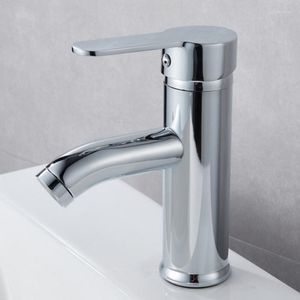 Robinets d'évier de salle de bain bassin cuisine robinets de toilette de luxe et lavabos d'eau mélangeur froid pour laver l'argent en acier inoxydable