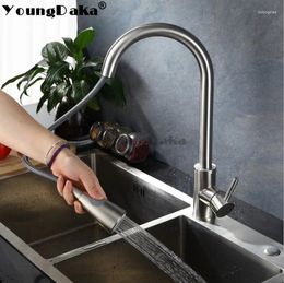 Robinets d'évier de salle de bain cuisine mélangeur à eau froide robinet nickel brossé monocylace