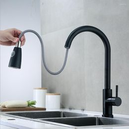 Robinets de lavabo de salle de bain Robinet de cuisine Mitigeur à poignée unique à deux fonctions et robinets d'eau froide Noir