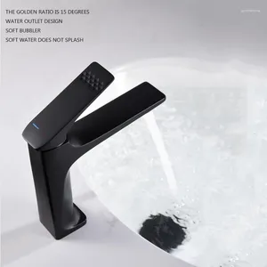 Badkamer wastafel kranen waterplateren mat zwart waterkraan wast bekken toilettafel en koude dubbele regeling bbasin
