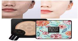 BB Air Cushion Foundation Chandroom Headroom CC Crème Cormeau de maquillage Cosmetic Emperproofing Brighten Face Base Tone 10813547124