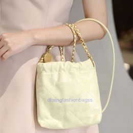 Strand Tote Wallet Mini Edition 22 Tassen Garbage Bag Hoofdlaag Originele fabriek Pigu Gold Pearl Lingge Chain