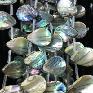 Perles livraison gratuite bijoux 10x15mm coquille d'ormeau de nouvelle-zélande goutte d'eau perles en vrac 20 pièces G9144