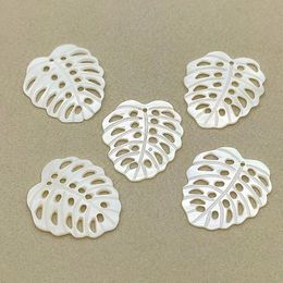 Perles Nouveauté! Pendentifs en coquillage naturel, breloque en forme de feuille, pour collier/boucles d'oreilles faits à la main, pièces de bricolage, composants de résultats de bijoux, 30 pièces