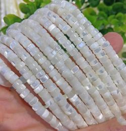 Perles Couche de coque de mer blanche 3/4 / 6 mm pour les bijoux de bricolage Making Loose Perles FPPJ Perles en gros de la nature Nature