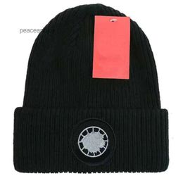 Beanie/Skull Caps Designer gebreide mutsen ins populaire canada muts Klassieke Letter gans Print Knit 2384 muts