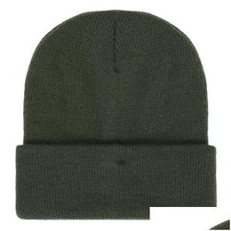 Bonnet / Skull Caps Chapeaux de laine de couleur pure pour hommes femmes Skl automne et hiver tricoté chapeau de pluvier 17 couleurs en gros livraison directe mode Dhmdv