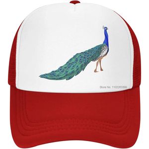 Chapeau de camionneur en forme de paon, casquette en maille animale, légère et réglable, chapeau de sport de plein air pour hommes et femmes