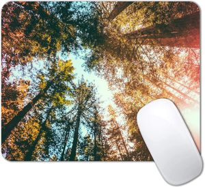 Tapis de souris Beautiful Sky Arbres sublimes Tapis de souris Nature View California Redwoods Sun-Rays and Sky Tapis de souris Base en caoutchouc antidérapant