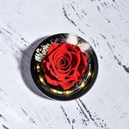 Beauty and Beast Natural Eternal Flowers Forever Préservé Rose en verre Dome Wald Valentine Birthday Cadeaux pour elle