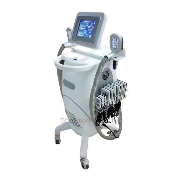 Beauté et personnel Cryolipolyse RF Système de cavitation sous vide Prix de la machine pour la perte de poids Améliorateurs mammaires Congélation des graisses