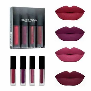 Beauté Marque Fille Brillant À Lèvres Liquide Rouge À Lèvres Le Rouge Nude Brun Rose Édition Beauté Mini Mat brillant à lèvres 4pcs / set Stock Expédition Rapide