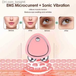 Équipement de beauté Portable électrique lifting rouleau masseur EMS microcourant sonique vibration levage du visage peau serrer les appareils de beauté de massage 220510 Q230916