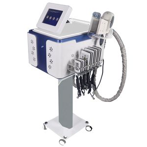 Articles de beauté cryolipolyse Machine graisse congélation minceur corps sculptant Machine livraison gratuite perdre de la graisse