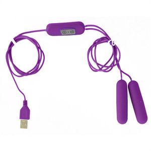 Articles de beauté double saut oeuf USB puissance vibrateur clitoridien G-Spot masturbation produit sexy télécommande vibrant Bullet jouets pour femmes