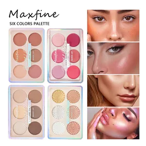 Beauté Six couleurs surligneur Blush fard à paupières stéréo Contour Palette tout-en-un Palette