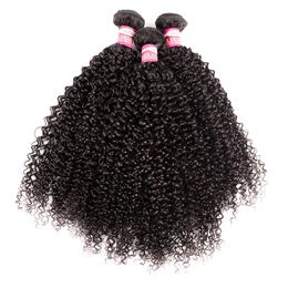 Beautysister Haarproducten Onverwerkte 10a Peruviaanse Maagd Remy Menselijk Haarverlenging Bundels Kinky Krullend 3pcs 300g Lot van de ene donor