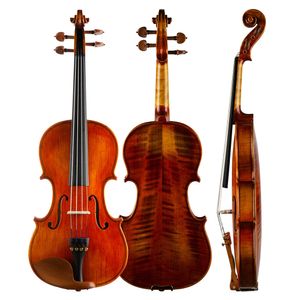 Beginner examen vioolmuse klassieke glanzende massieve sparren esdoorn +case boog