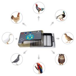 Huevos de Behogar Incubadora digital semiautomática Máquina de cría de cría de temperatura ajustable Catadradora de aves de corral para pollos Huevos de pájaro de pato