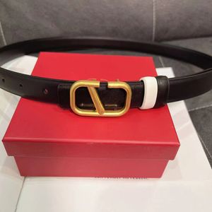 Cinturón cinturón de diseñador cinturones de lujo cinturones para mujer diseñador Color sólido moda diseño de letras cinturón material de cuero Regalo de Navidad tamaño 105-125 cm muchos estilos muy buenos