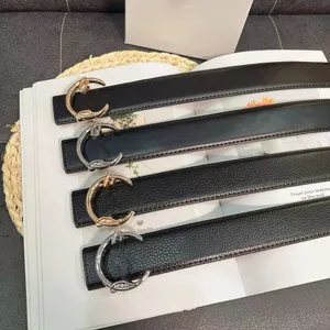 Ceinture de concepteur ceinture de luxe ceintures