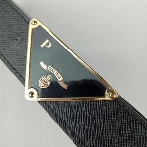 Belt Designer Belts Triangle Model Pbuckle Belt For Men Women Gold Silver Luxury Lederen Tailleband 341U