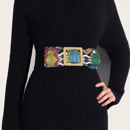 Cinturones 2023 damas estampado de serpiente corsé elástico vestido de cintura ancha moda decorativa de alta calidad para mujeres marca de diseñador de lujo