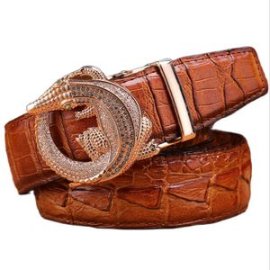 Ceintures Crocodile Alligator Belt for Men Luxury Strap Automatic Buckle Cowle Coue Geuthesine 2020 Designer de haute qualité Fashionc240410