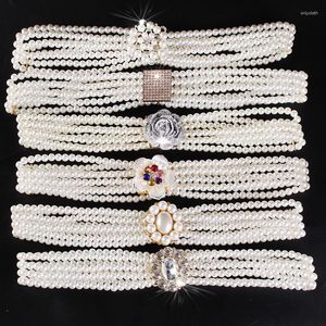 Cinturones Elegante cinturón de cuatro filas decorado con accesorios de ropa chinos retro Cintura elástica para mujer Sello Flor de diamantes de imitación Wai