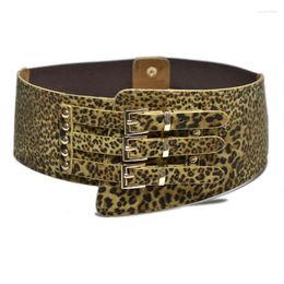 Cinturones de moda con estampado de leopardo para mujer, cinturón elástico con hebilla de Metal, remache, vestido de fiesta grande para