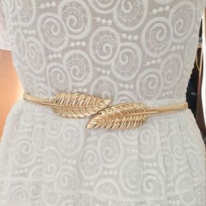 Cinturones Moda Mujer Oro Plata Hojas Señoras Metal Cintura Cadena Elástico Coreano Estiramiento Flaco Cintura Para Vestido Mujer