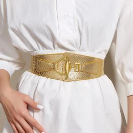 Cinturones Moda Mujer Golden Stretch Cintura Wrap Hebilla Accesorios con todo el abrigo de abajo Adornado Cintura ancha Mujer