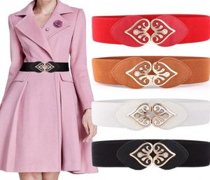 Ceintures pour femmes créatrice de mode Pu Leather Décoration élastique Robe de ceinture de taille